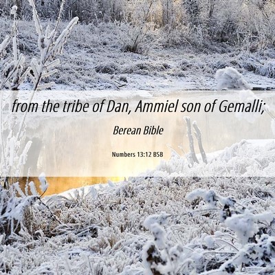 Picture 06 - Numbers 13:12 BSB - from the tribe of Dan, Ammiel son of - Bible Verse Picture