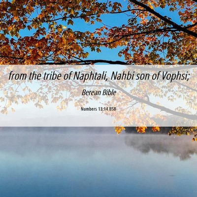 Picture 06 - Numbers 13:14 BSB - from the tribe of Naphtali, Nahbi son of - Bible Verse Picture