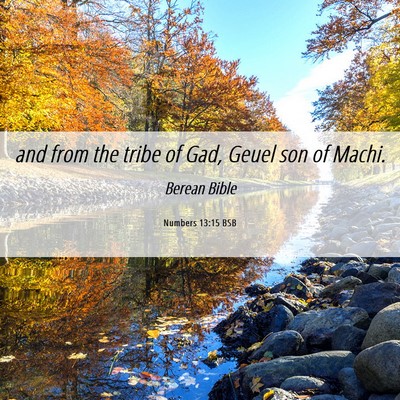 Picture 06 - Numbers 13:15 BSB - and from the tribe of Gad, Geuel son of - Bible Verse Picture