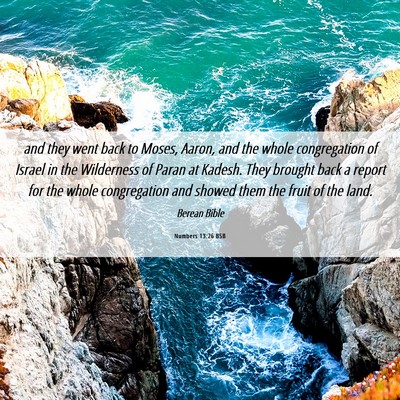 Picture 06 - Numbers 13:26 BSB - and they went back to Moses, Aaron, and the whole - Bible Verse Picture