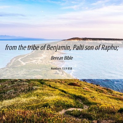 Picture 06 - Numbers 13:9 BSB - from the tribe of Benjamin, Palti son of - Bible Verse Picture