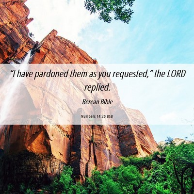 Picture 06 - Numbers 14:20 BSB - “I have pardoned them as you requested,” the - Bible Verse Picture