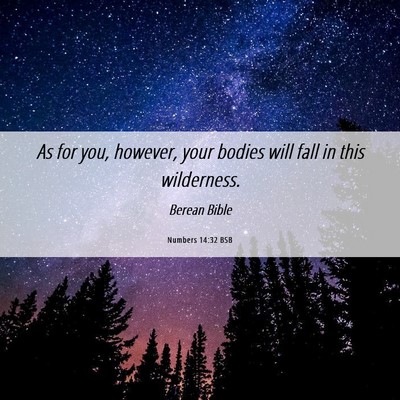 Picture 06 - Numbers 14:32 BSB - As for you, however, your bodies will fall in - Bible Verse Picture