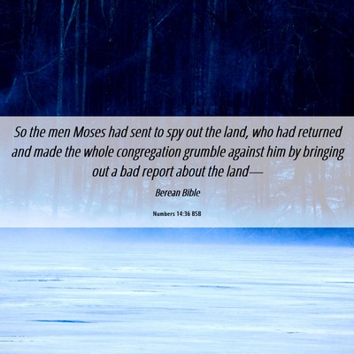 Picture 06 - Numbers 14:36 BSB - So the men Moses had sent to spy out the land, - Bible Verse Picture