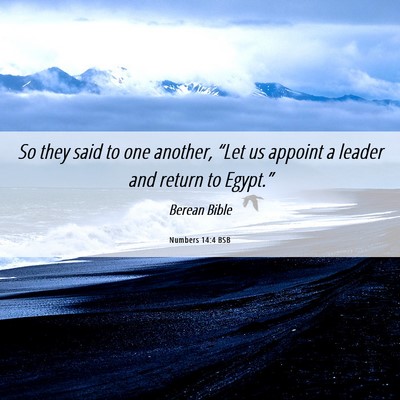 Picture 06 - Numbers 14:4 BSB - So they said to one another, “Let us appoint a - Bible Verse Picture