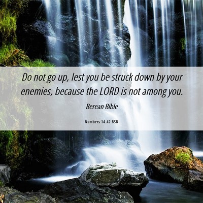 Picture 06 - Numbers 14:42 BSB - Do not go up, lest you be struck down by your - Bible Verse Picture