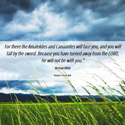 Picture 06 - Numbers 14:43 BSB - For there the Amalekites and Canaanites will face - Bible Verse Picture