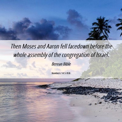 Picture 06 - Numbers 14:5 BSB - Then Moses and Aaron fell facedown before the - Bible Verse Picture