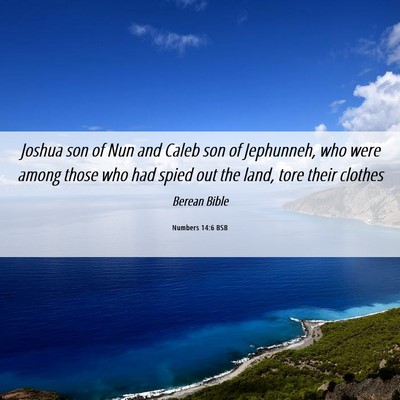 Picture 06 - Numbers 14:6 BSB - Joshua son of Nun and Caleb son of Jephunneh, who - Bible Verse Picture