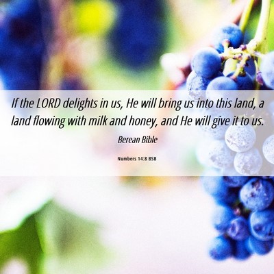 Picture 06 - Numbers 14:8 BSB - If the LORD delights in us, He will bring us into - Bible Verse Picture