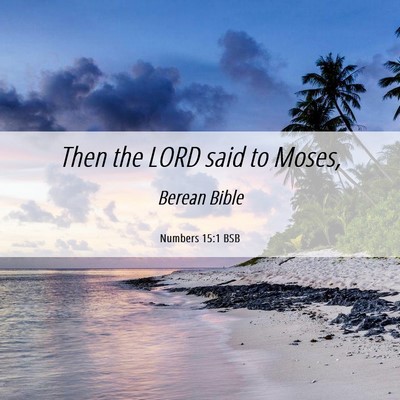 Picture 06 - Numbers 15:1 BSB - Then the LORD said to - Bible Verse Picture