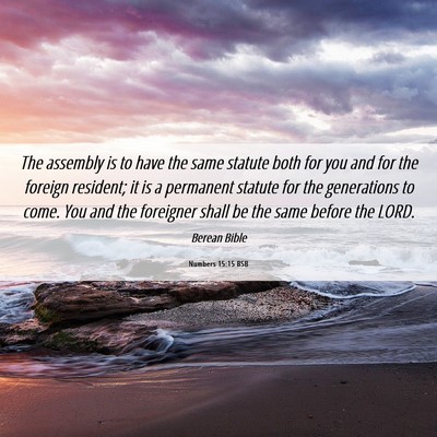 Picture 06 - Numbers 15:15 BSB - The assembly is to have the same statute both for - Bible Verse Picture