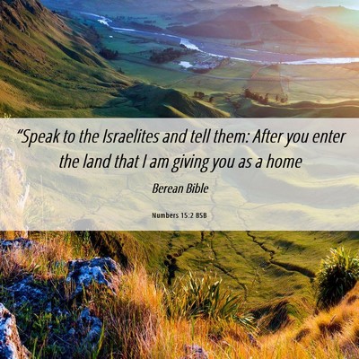 Picture 06 - Numbers 15:2 BSB - “Speak to the Israelites and tell them: After - Bible Verse Picture