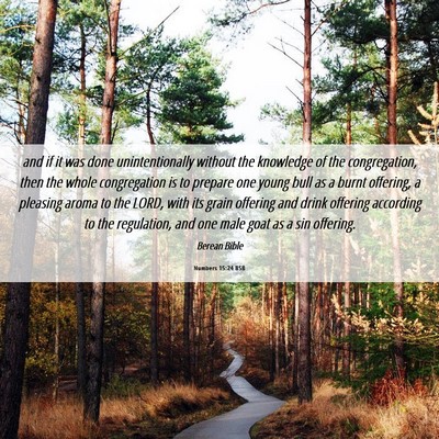 Picture 06 - Numbers 15:24 BSB - and if it was done unintentionally without the - Bible Verse Picture