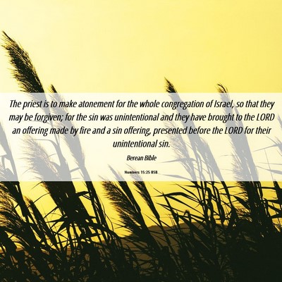 Picture 06 - Numbers 15:25 BSB - The priest is to make atonement for the whole - Bible Verse Picture