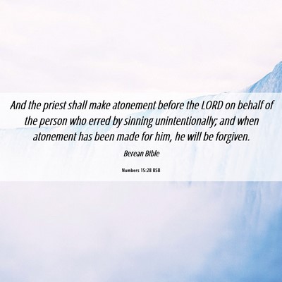 Picture 06 - Numbers 15:28 BSB - And the priest shall make atonement before the - Bible Verse Picture