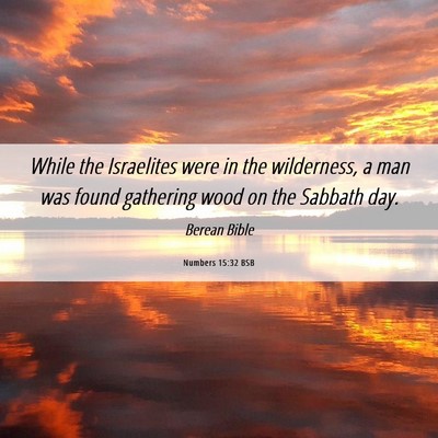Picture 06 - Numbers 15:32 BSB - While the Israelites were in the wilderness, a - Bible Verse Picture