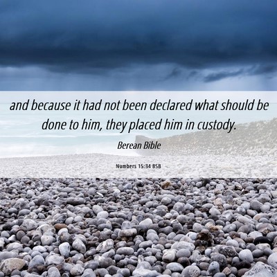 Picture 06 - Numbers 15:34 BSB - and because it had not been declared what should - Bible Verse Picture