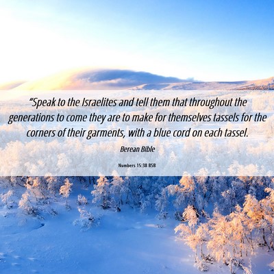 Picture 06 - Numbers 15:38 BSB - “Speak to the Israelites and tell them that - Bible Verse Picture