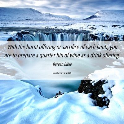 Picture 06 - Numbers 15:5 BSB - With the burnt offering or sacrifice of each - Bible Verse Picture