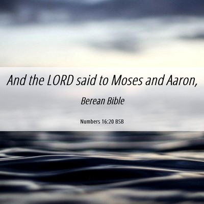 Picture 06 - Numbers 16:20 BSB - And the LORD said to Moses and - Bible Verse Picture