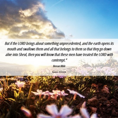 Picture 06 - Numbers 16:30 BSB - But if the LORD brings about something - Bible Verse Picture