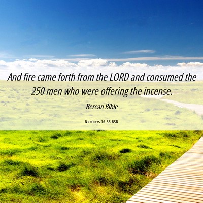 Picture 06 - Numbers 16:35 BSB - And fire came forth from the LORD and consumed - Bible Verse Picture