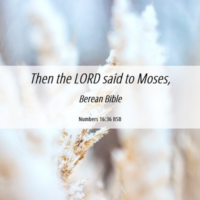 Picture 06 - Numbers 16:36 BSB - Then the LORD said to - Bible Verse Picture