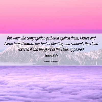 Picture 06 - Numbers 16:42 BSB - But when the congregation gathered against them, - Bible Verse Picture