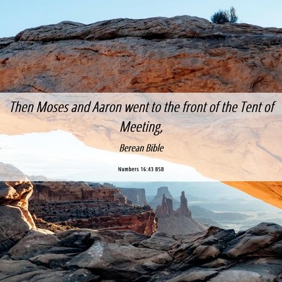 Picture 06 - Numbers 16:43 BSB - Then Moses and Aaron went to the front of the - Bible Verse Picture