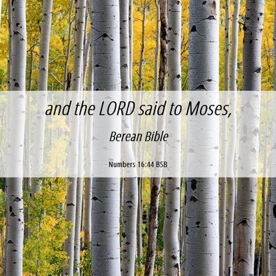 Picture 06 - Numbers 16:44 BSB - and the LORD said to - Bible Verse Picture