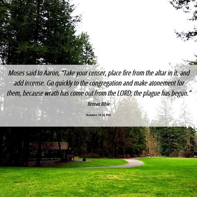 Picture 06 - Numbers 16:46 BSB - Moses said to Aaron, “Take your censer, place - Bible Verse Picture