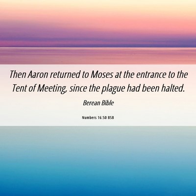 Picture 06 - Numbers 16:50 BSB - Then Aaron returned to Moses at the entrance to - Bible Verse Picture