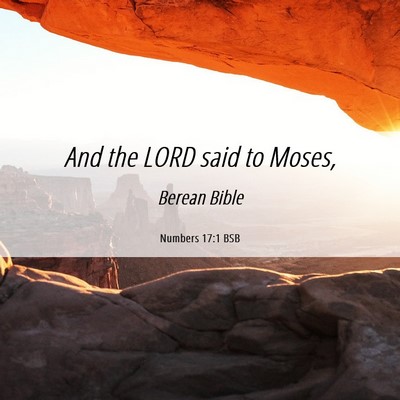 Picture 06 - Numbers 17:1 BSB - And the LORD said to - Bible Verse Picture