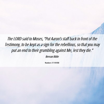 Picture 06 - Numbers 17:10 BSB - The LORD said to Moses, “Put Aaron’s staff - Bible Verse Picture