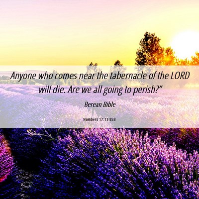 Picture 06 - Numbers 17:13 BSB - Anyone who comes near the tabernacle of the LORD - Bible Verse Picture