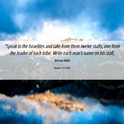Picture 06 - Numbers 17:2 BSB - “Speak to the Israelites and take from them - Bible Verse Picture