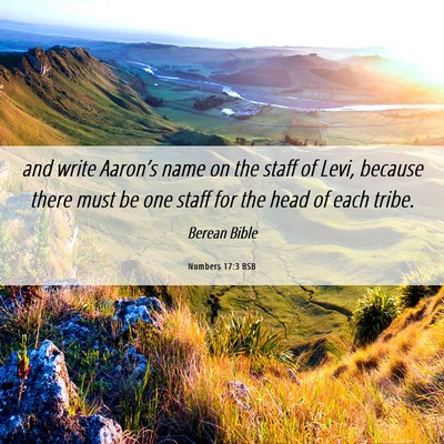Picture 06 - Numbers 17:3 BSB - and write Aaron’s name on the staff of Levi, - Bible Verse Picture