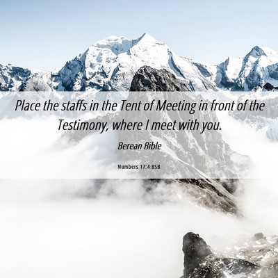 Picture 06 - Numbers 17:4 BSB - Place the staffs in the Tent of Meeting in front - Bible Verse Picture