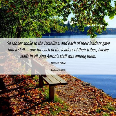 Picture 06 - Numbers 17:6 BSB - So Moses spoke to the Israelites, and each of - Bible Verse Picture