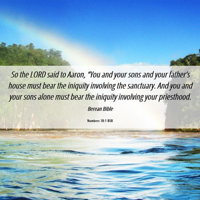 Picture 06 - Numbers 18:1 BSB - So the LORD said to Aaron, “You and your sons - Bible Verse Picture