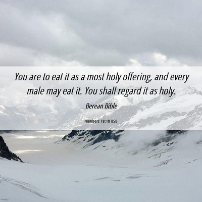 Picture 06 - Numbers 18:10 BSB - You are to eat it as a most holy offering, and - Bible Verse Picture