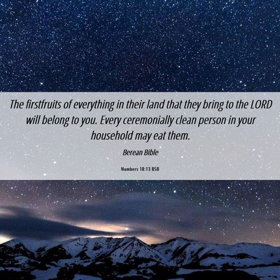 Picture 06 - Numbers 18:13 BSB - The firstfruits of everything in their land that - Bible Verse Picture