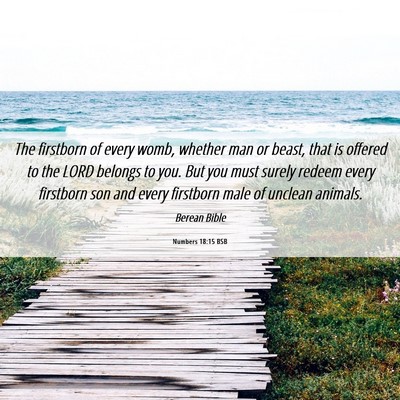 Picture 06 - Numbers 18:15 BSB - The firstborn of every womb, whether man or - Bible Verse Picture