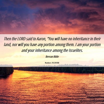 Picture 06 - Numbers 18:20 BSB - Then the LORD said to Aaron, “You will have no - Bible Verse Picture
