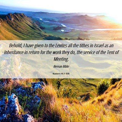 Picture 06 - Numbers 18:21 BSB - Behold, I have given to the Levites all the - Bible Verse Picture