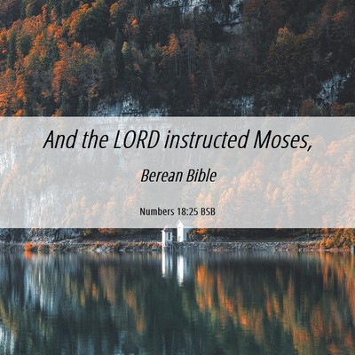 Picture 06 - Numbers 18:25 BSB - And the LORD instructed - Bible Verse Picture