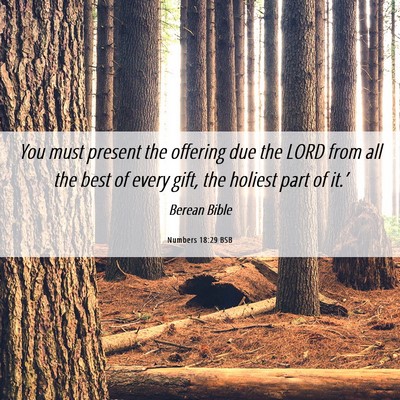 Picture 06 - Numbers 18:29 BSB - You must present the offering due the LORD from - Bible Verse Picture