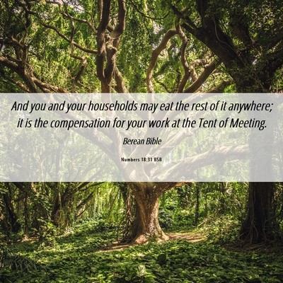 Picture 06 - Numbers 18:31 BSB - And you and your households may eat the rest of - Bible Verse Picture