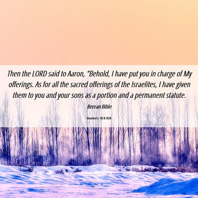 Picture 06 - Numbers 18:8 BSB - Then the LORD said to Aaron, “Behold, I have - Bible Verse Picture